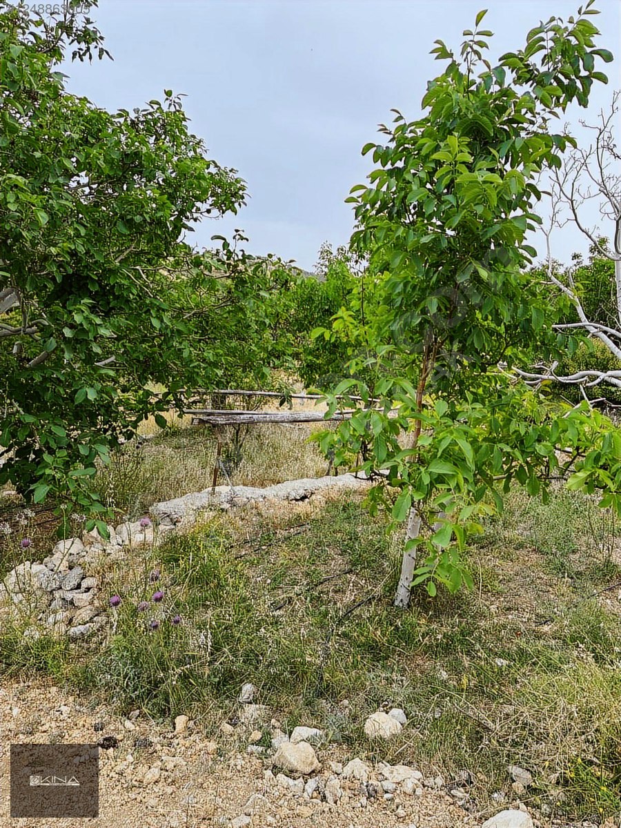 İlan Fotoğrafı